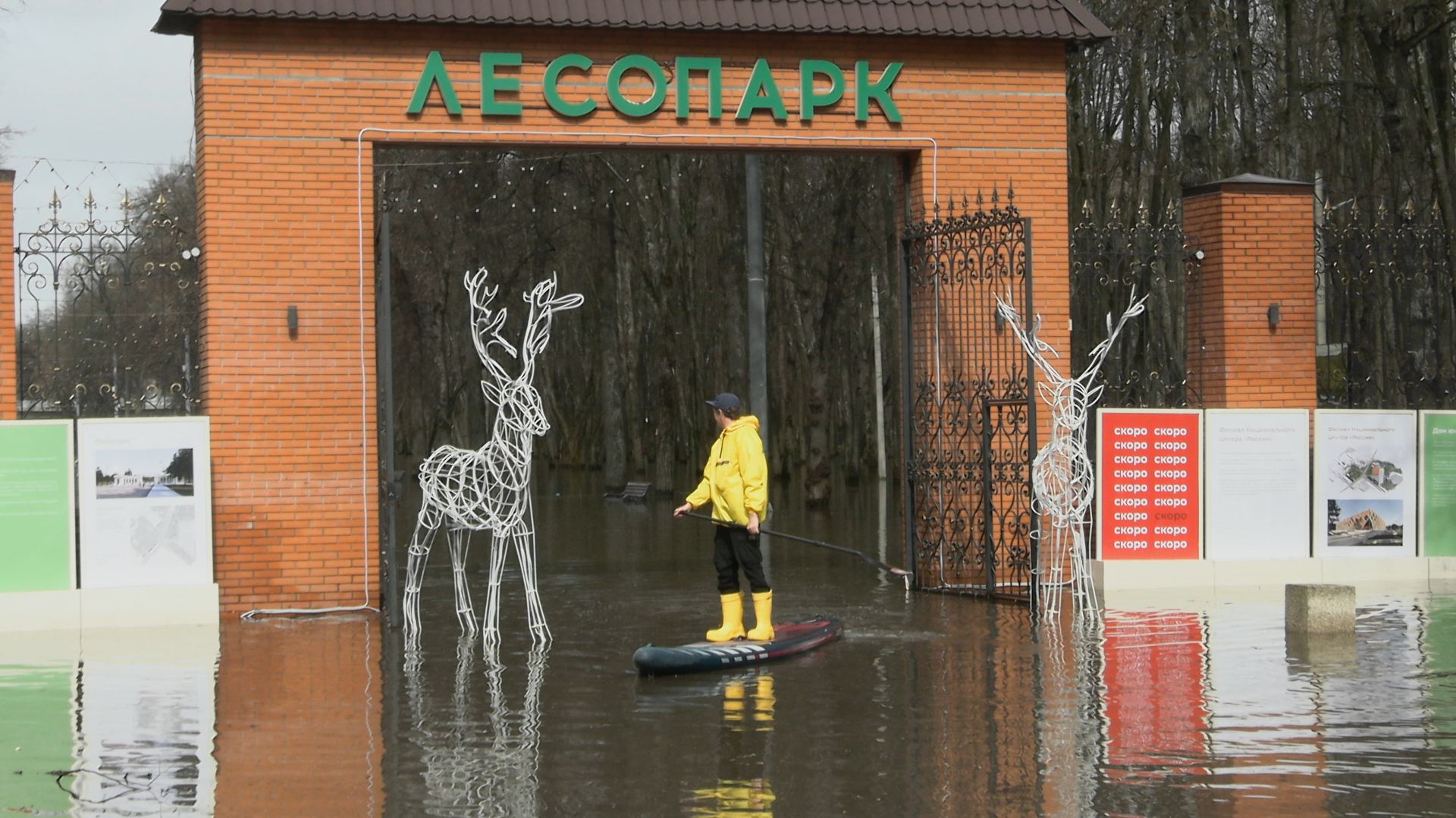 МОРЕ ЭМОЦИЙ