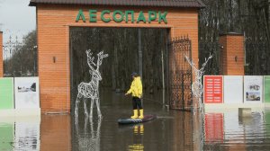 МОРЕ ЭМОЦИЙ