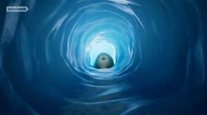 Loop Station (ver. Seal)ㅣSEALOOKㅣEP.41