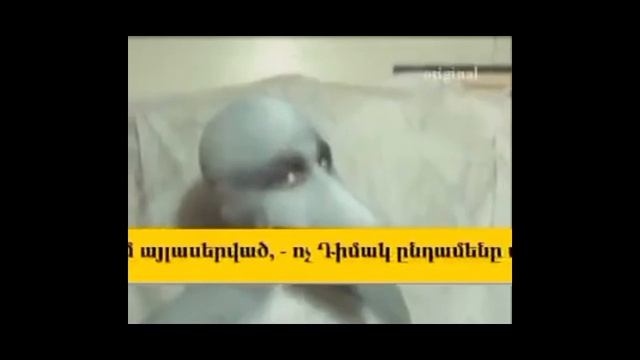 Человек дельфин