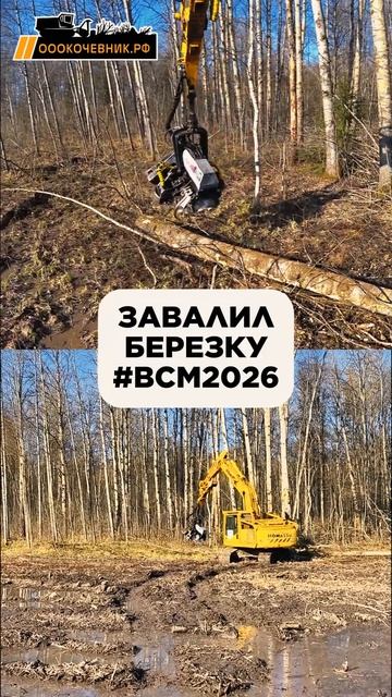 Новая неделя - новые вызовы и возможности. Работаем, парни!💪