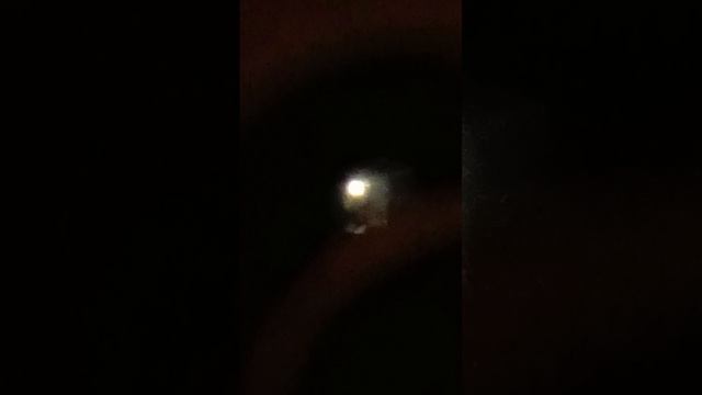 ПРИХОДИЛА ШЛЮХА