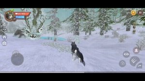 разговорное видио