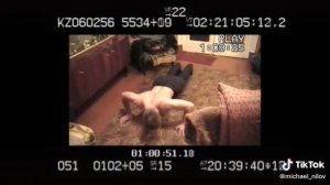 ОТЖИМАНИЯ 50 РАЗ архив 2005 ГОД