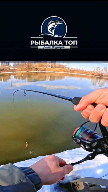 Москва | Филёвская Набережная 🔥
#москва #рыбалка #fishing