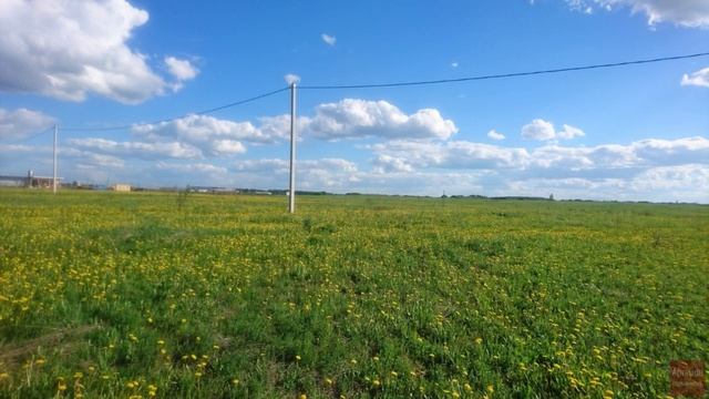 video-output-271B52C3-700C-4EC4-B55E-E3CD7E3D02E4-1