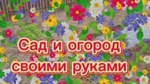 13. 04. 26  #огородныедела #клубникарассада 🍓🍓