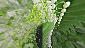 Футажи! Комплект Футажей Весенняя Ландышевая Сказка 2 от Киностудии Мудрого Кота Тимофея!