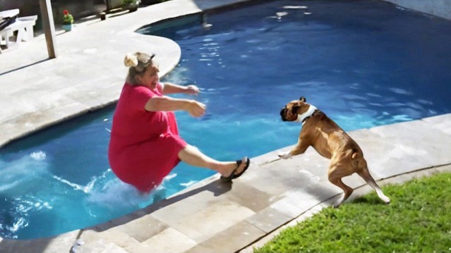 Приколы с животными🤗 Смешные видео про животных 🤗СМЕШНОЕ ВИДЕО😍 Наши любимые смешные животные