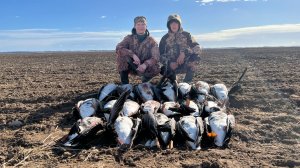 Охота на гуся 2026. Охота на гуся 06.04.2026. Гусь 2026. Охота в Беларуси.