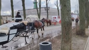 Город Суздаль. Видео номер 4