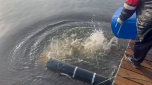 copy_E542536C-CB0C-4BA1-B6B6-661F6D35C61C