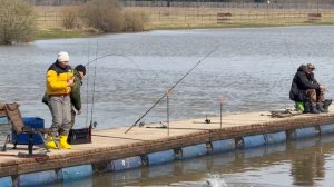 Поимки форели !!!