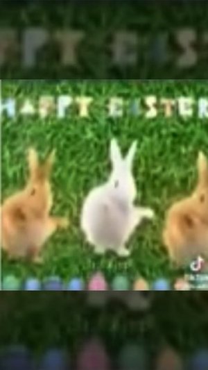 С прошедшей пасхой 🐰🥚