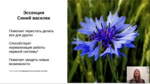 Лаборатория  Я жду ребенка. "Русские эссенции"