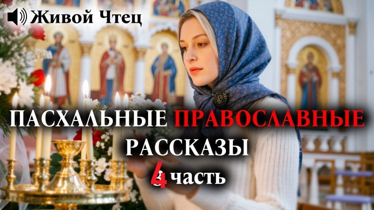 СВЕКРОВЬ ВЫГНАЛА НЕВЕСТКУ ЗА 