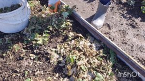 "Трудовой релакс"