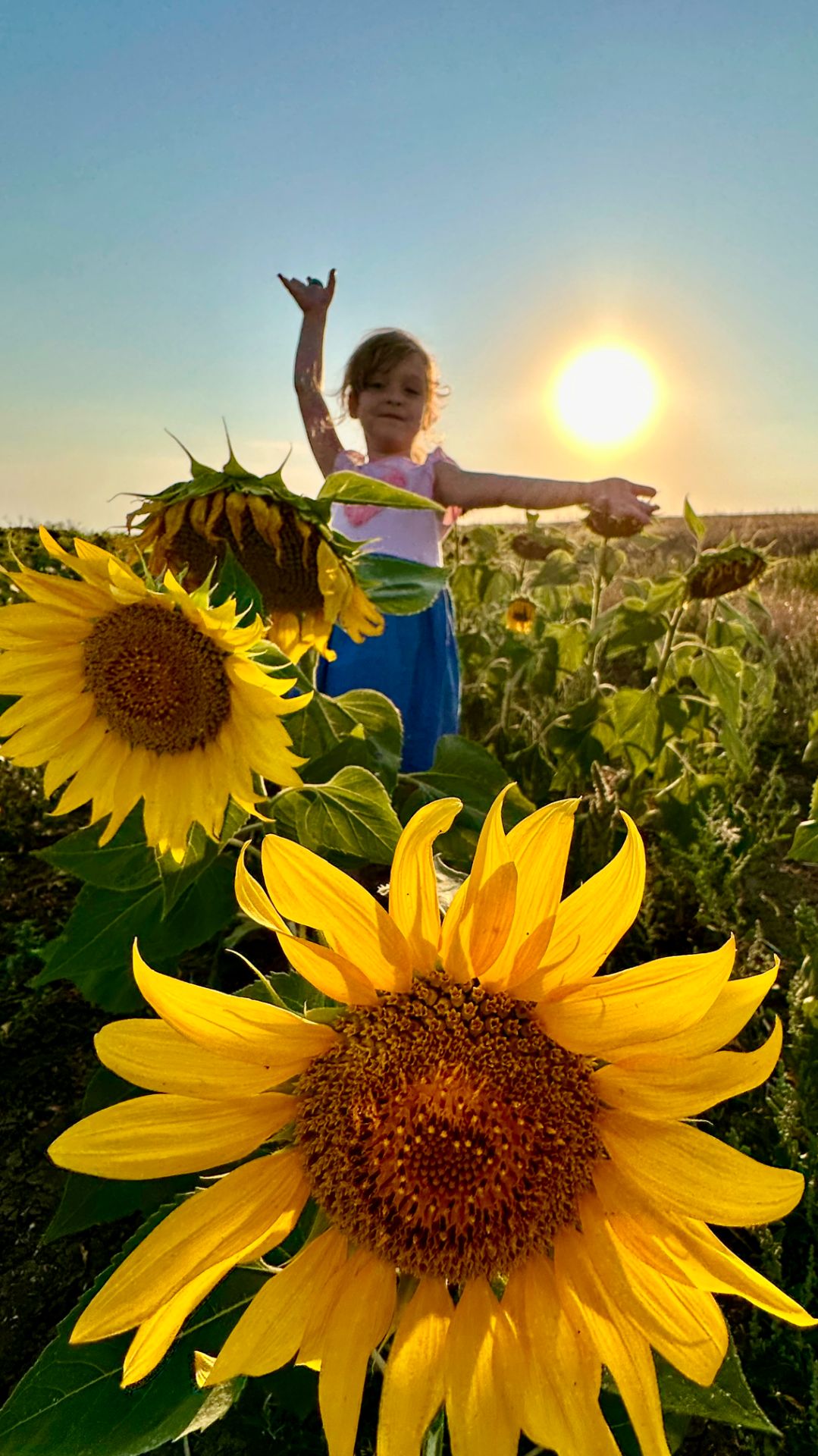 Арина делает фотосессию в подсолнухах, на побережье Азовского моря и изучает семейство ежей