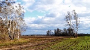Стихотворение И. Северянина "Весенний день"