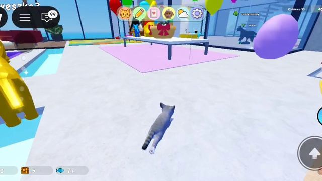 в игре с котятами обновка!