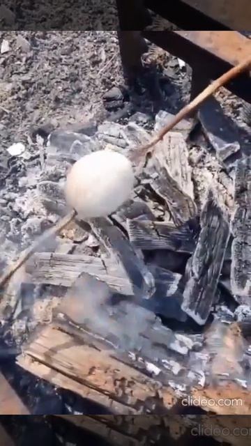 Видео от Выживание