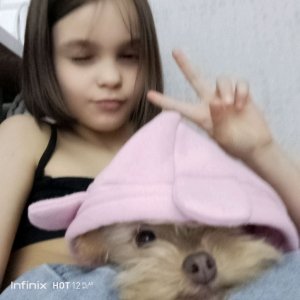 всем привет это АСМР стрим