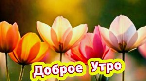 Доброе утро: открытки с добрым утром и пожелания с добром | Домохозяйка Ната