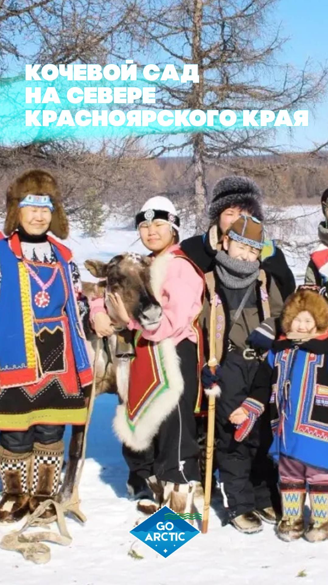 Кочевой сад на севере Красноярского края