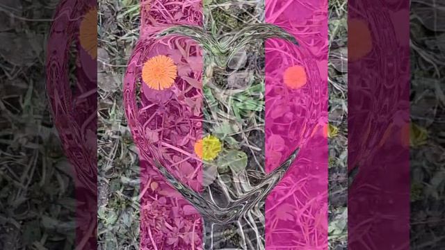 🌸🌼Цветы. Апрельские цветы. Середина весны.mp4