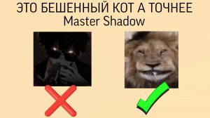РАЗОБЛАЧЕНИЕ БЕШЕНОГО КОТА ? ВТОРАЯ ЧАСТЬ ПРСЛЕДНЯЯ
