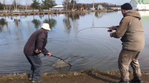 утренние поимки форели