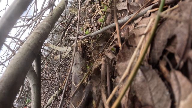 ЭПизод 11042026 (Segway 10 Mud )