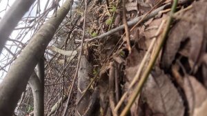 ЭПизод 11042026 (Segway 10 mud )