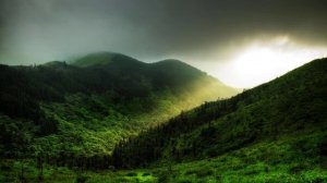 Сатсанг √132, Роберт Адамс. Самоиследование решит всё.