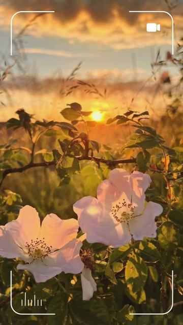 Новый фильм 