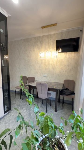 Шогенова Т 134062217