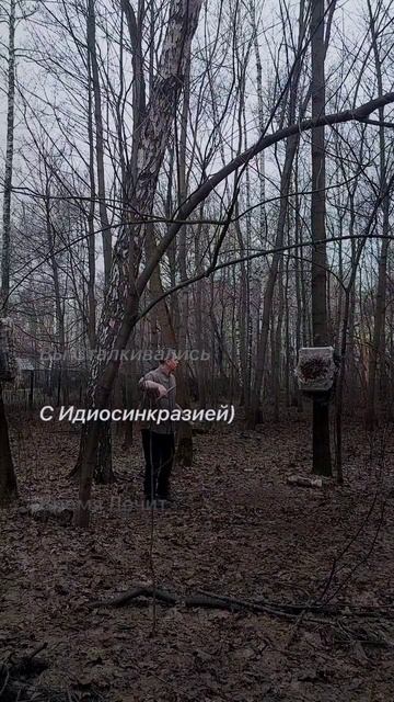 1026 455 
Один Глаз Видит; Второй —Чувствует. Пауль Клее Стиль — Это Отражение Вашей Идио-Синкра