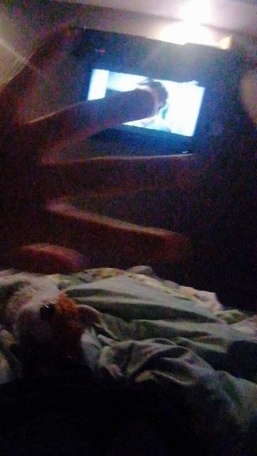 Я в школлуууу