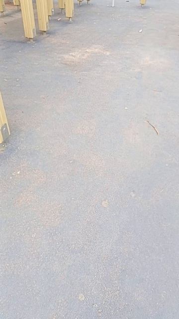 я гуляю часть 2