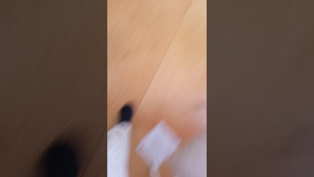 что можно взять с собой в школу