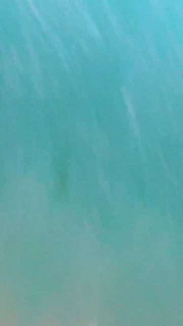 Рыбалка в Геленджике