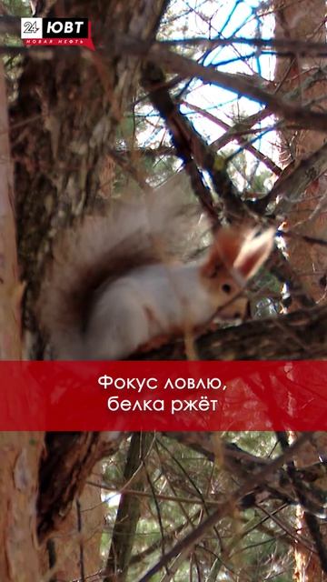 Момент, который заставит вас улыбнуться