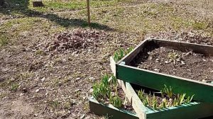 13-04-2026  погода👍 распаковка чек