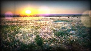 Шестьдесят два