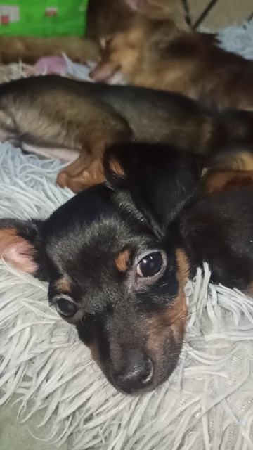 Тихий час...