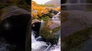 ВСЕ НУЖНО ПЕРЕЖИТЬ НА ЭТОМ СВЕТЕ ..