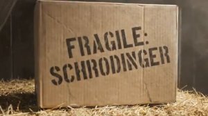 КВАНТОВЫЙ САМОГОН Official Video 2026 [get.gt]