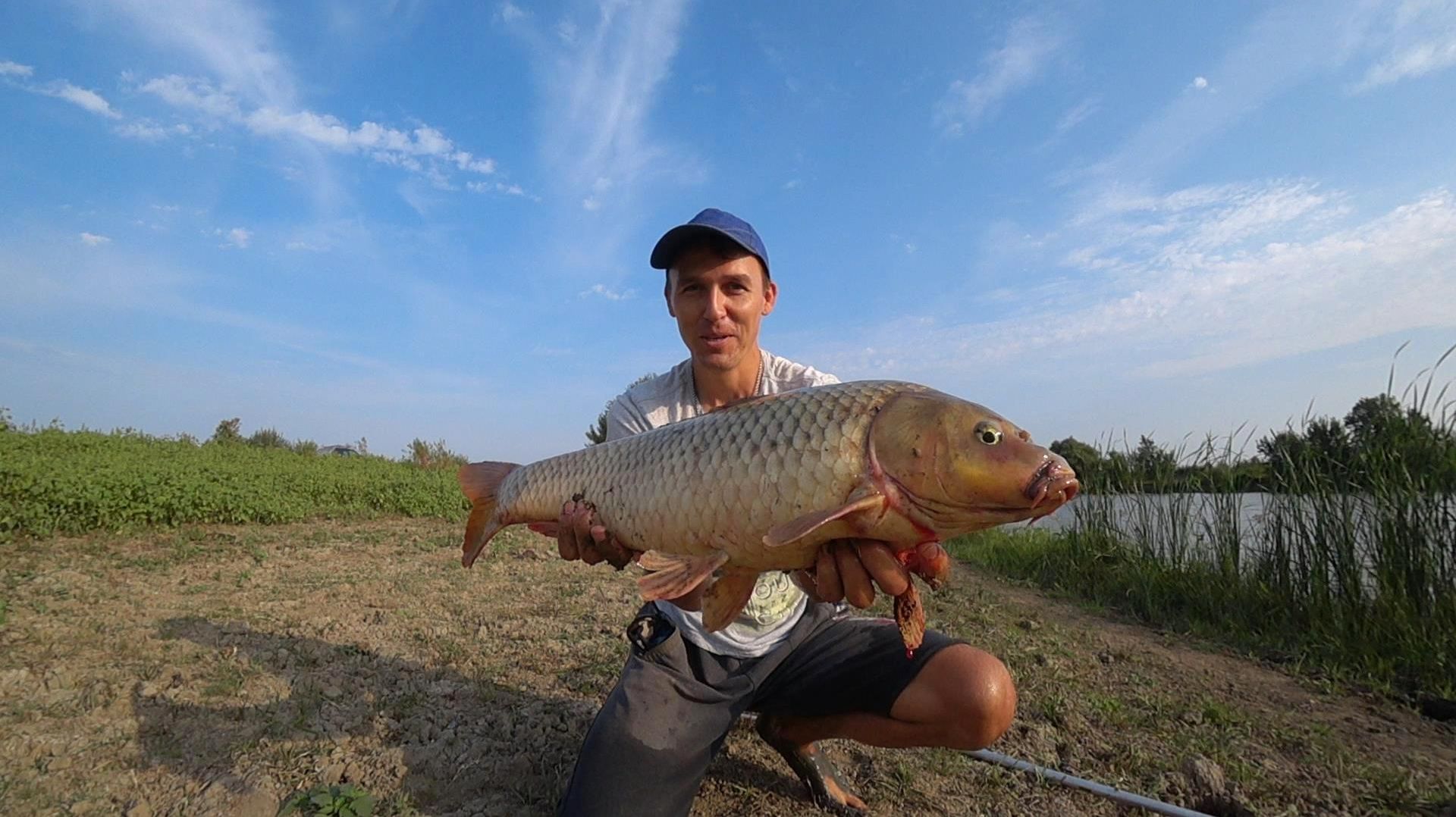 САЗАН ПОСЛЕ ПАВОДКА! ЛЮТЫЙ ГРЯЗЕМЕС НА БЕРЕГУ. Рыбалка на сазана. Простые закидушки.