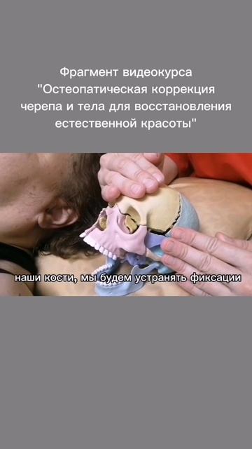 Фрагмент видеокурса Остеопатическая коррекция черепа и тела для восстановления естествен. красоты