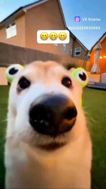 🤟🏻🤟🏻🤟🏻🤟🏻